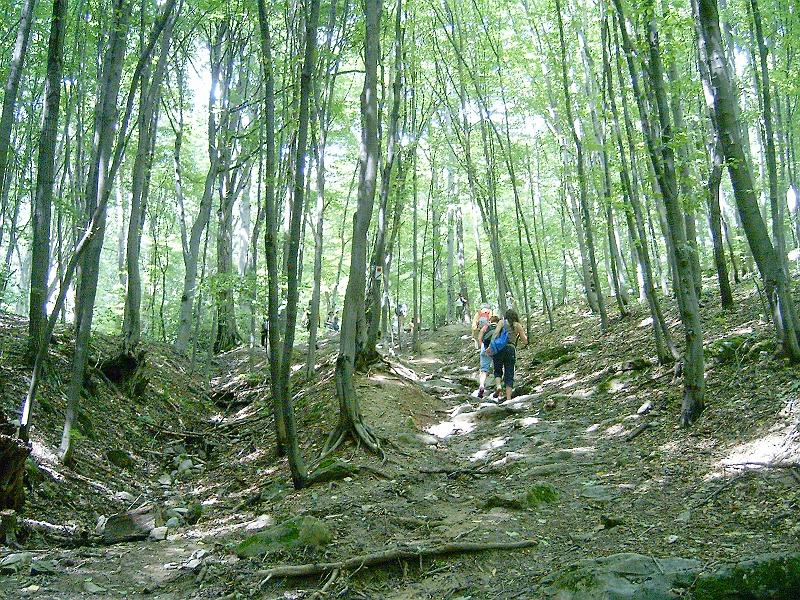 2010.07.24. 046.jpg